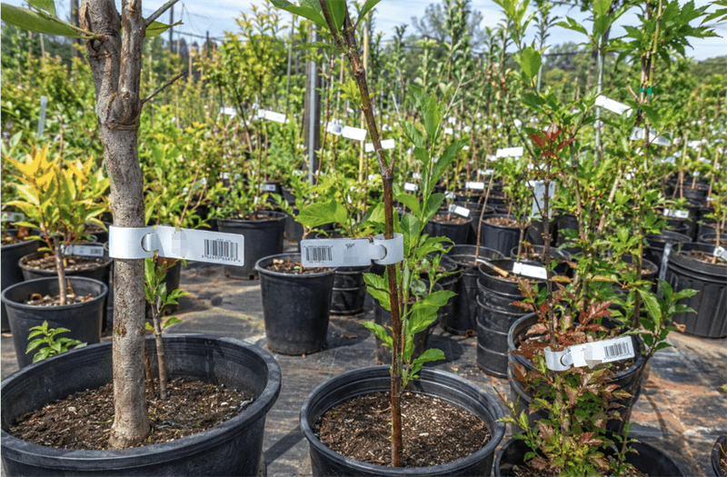 loop-lock-plant-tags
